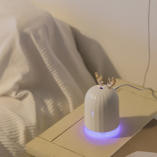USB Fogger Mist Maker with LED Night Lamp